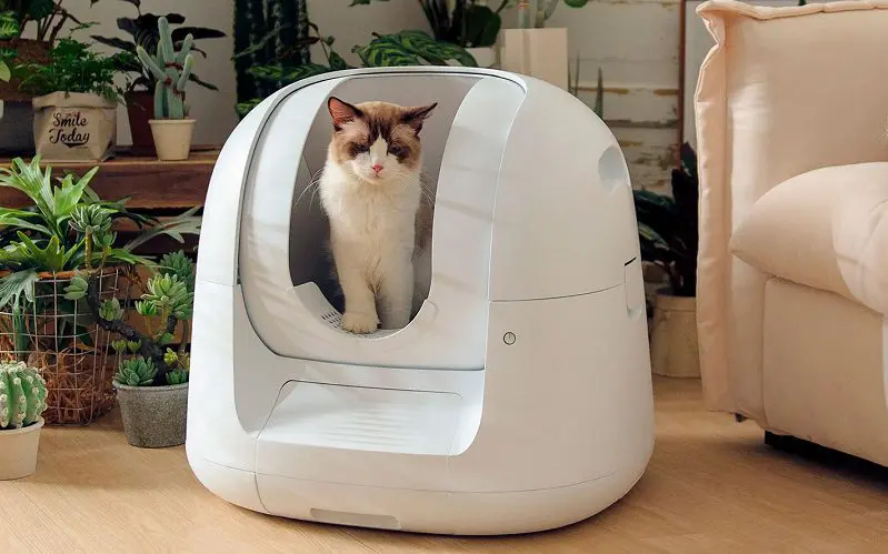 best cat litter box