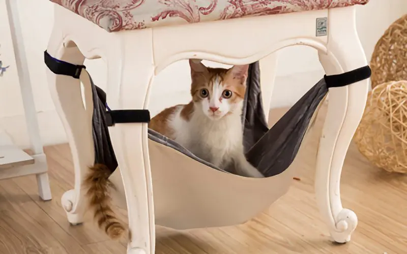 hanging cat bed on the chair