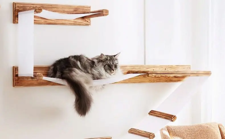 shelve cat bed