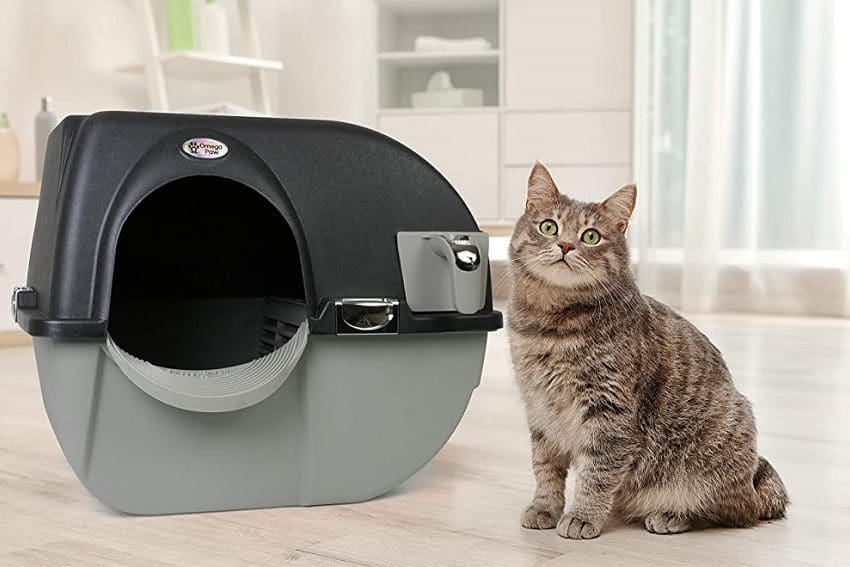 Omega Paw Self-Cleaning Litter Box Review