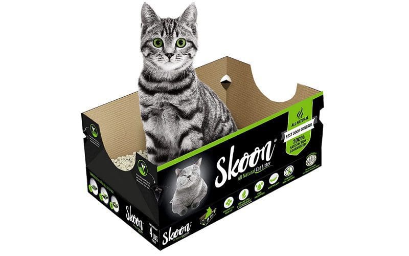 buying Skoon cat litter