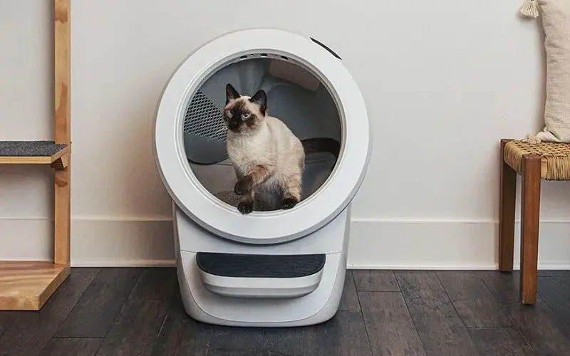 cat litter robot 4