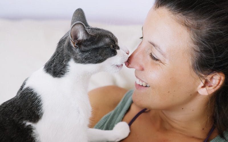 6 Reasons Why Does My Cat Lick My Hair Explained