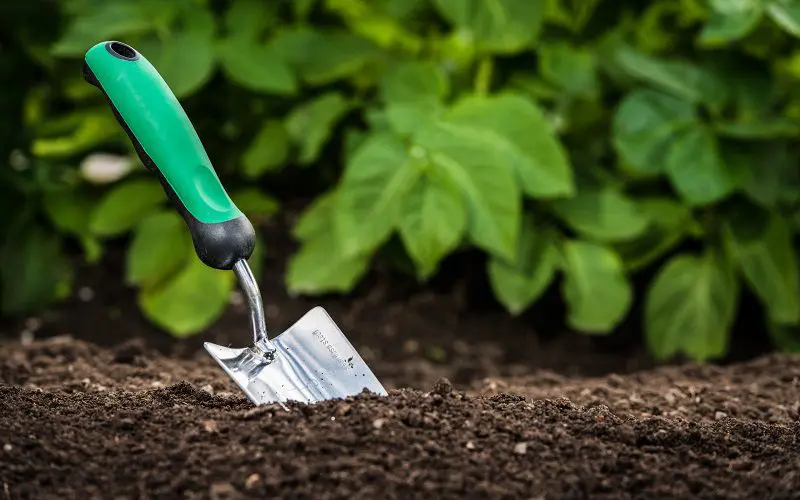 using garden soil for cat litter