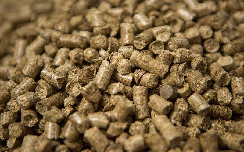 horse bedding pellets as cat litter