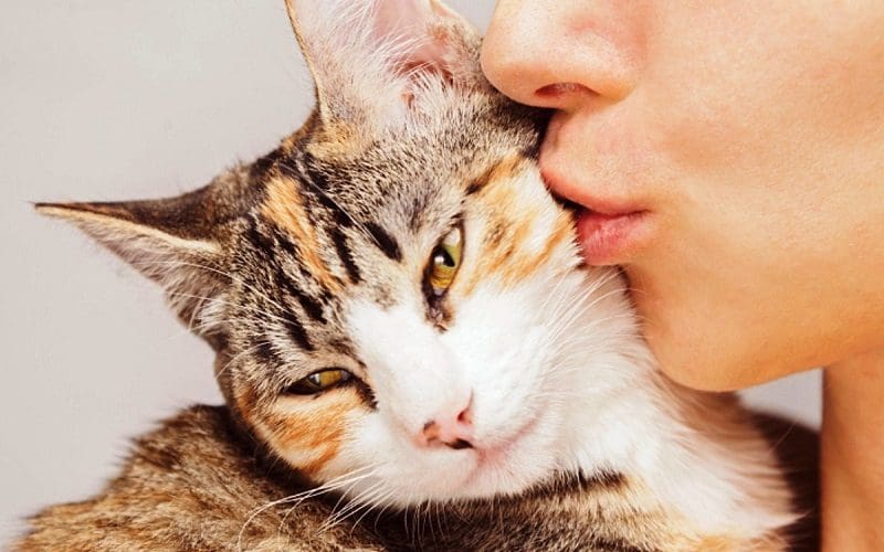 woman kissing a cat