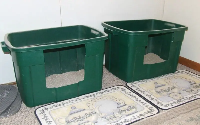 multiple litter boxes in house