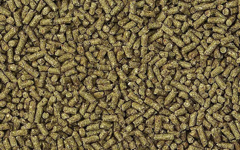 rabbit pellets as cat litter