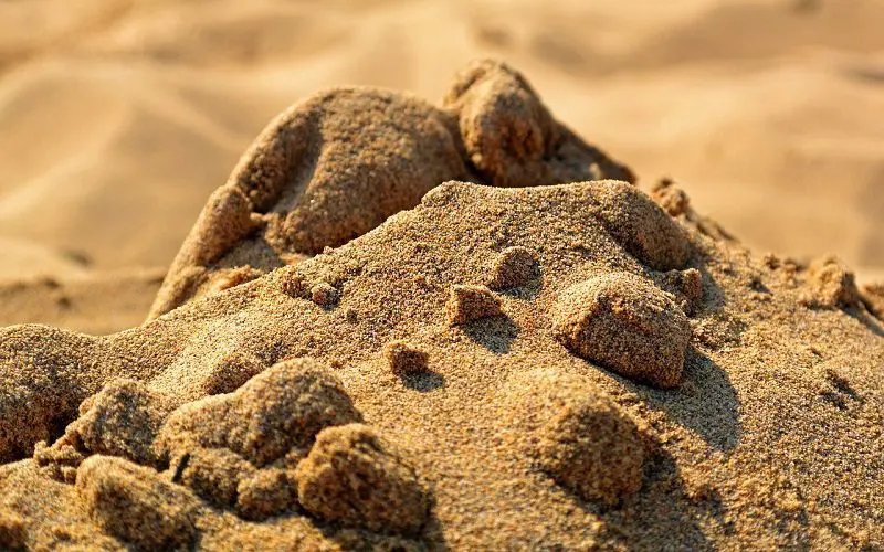 sand as cat litter