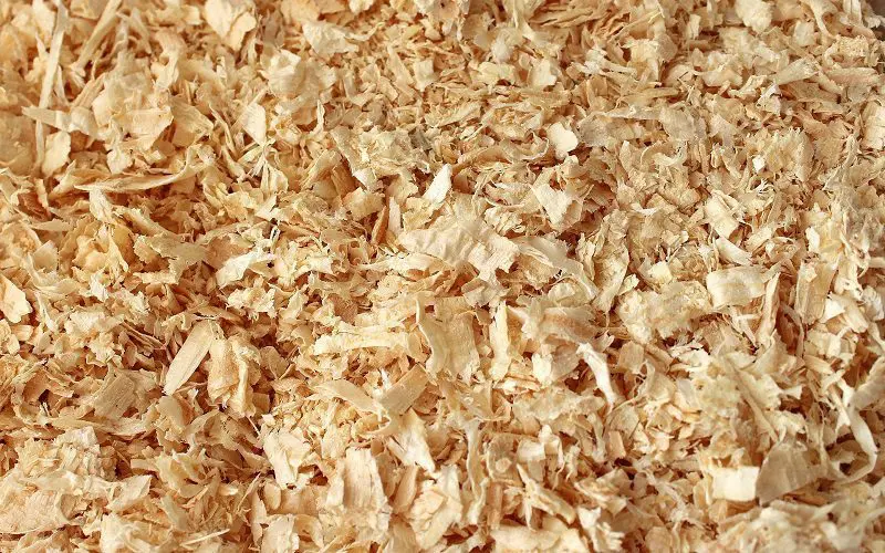 sawdust used as cat litter