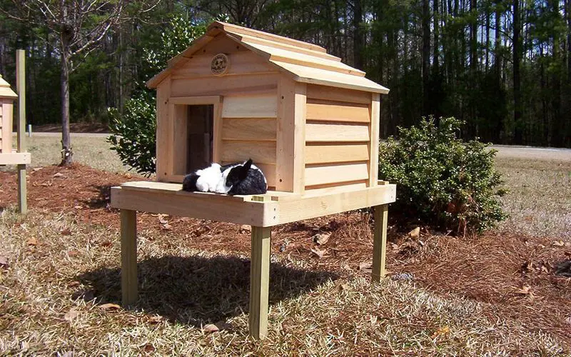 basic insulated DIY cat house