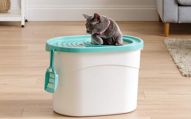 best litter box for messy cats
