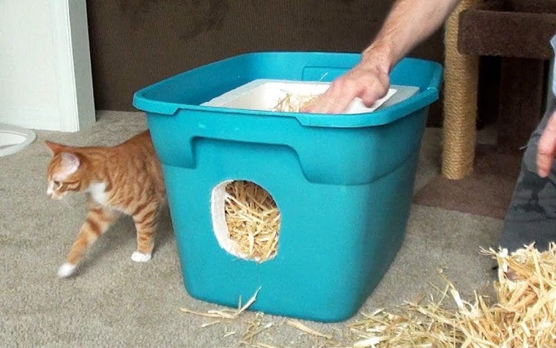 Tote DIY shelter for cats