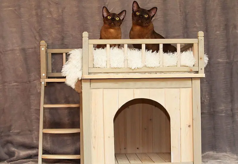 doll house for cats