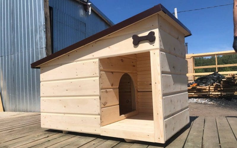 outdoor cat house for winter