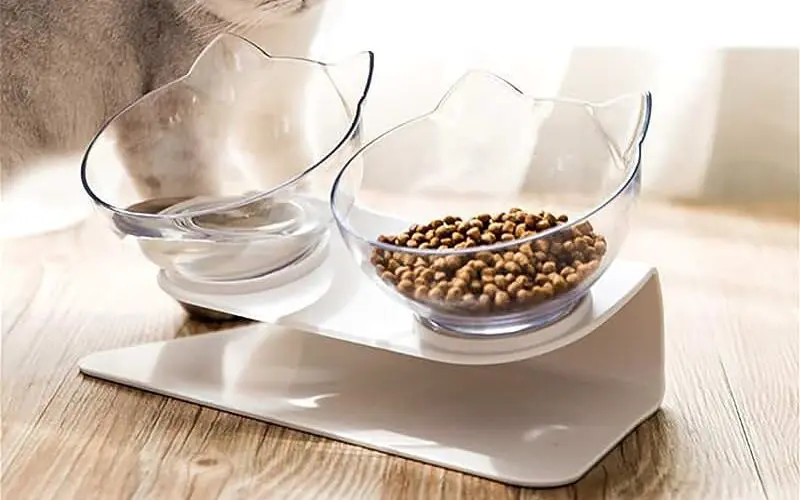 best elevated cat bowls