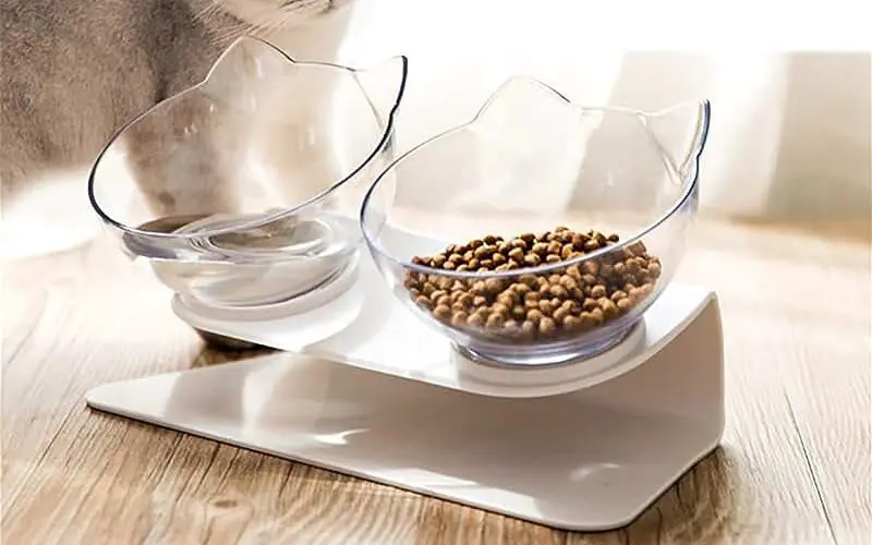 FRISCO Double Elevated Cat Bowl with Wood Stand, 0.5 cup 