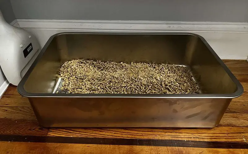 https://catvills.com/wp-content/uploads/2023/08/stainless-steel-litter-box.jpg