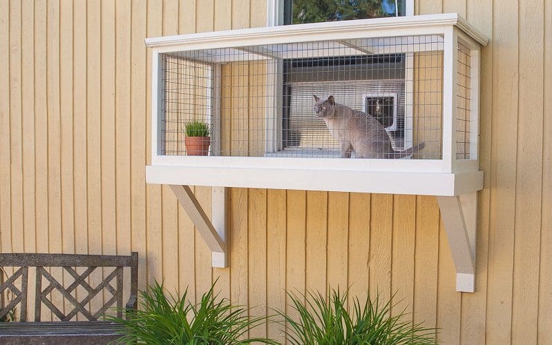 easy window box for cats