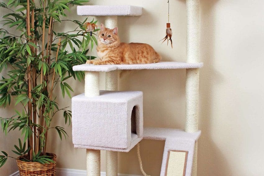 11 Perfect Cat Tree House Indoor for Your Home: The Ultimate Guide