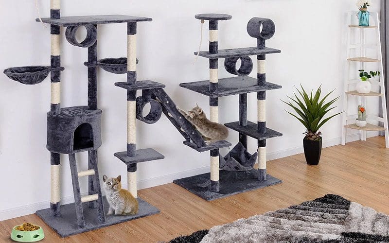 two cats playing on a cat tree