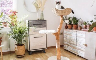 12 Unique Cat Trees: Unconventional Comfort for Your Feline