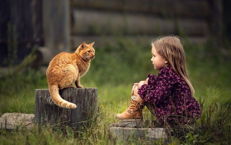 cat and kid