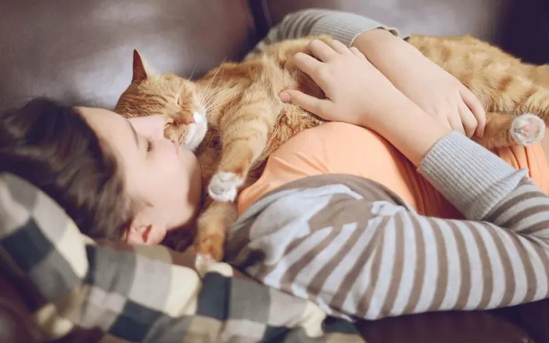 cat cuddling with her human