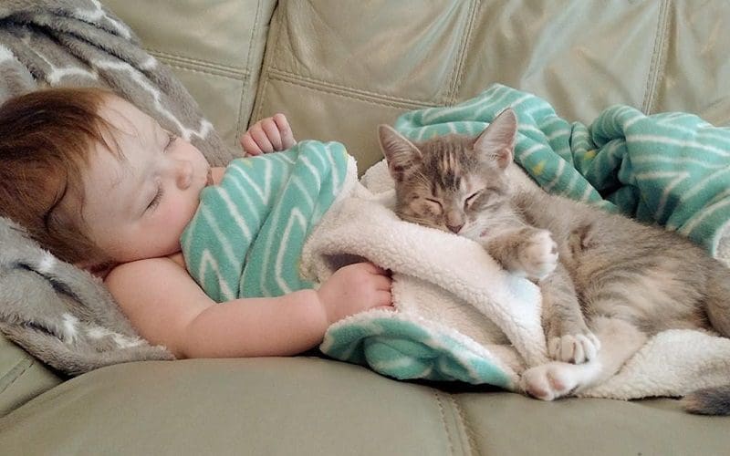 baby and cat bonding