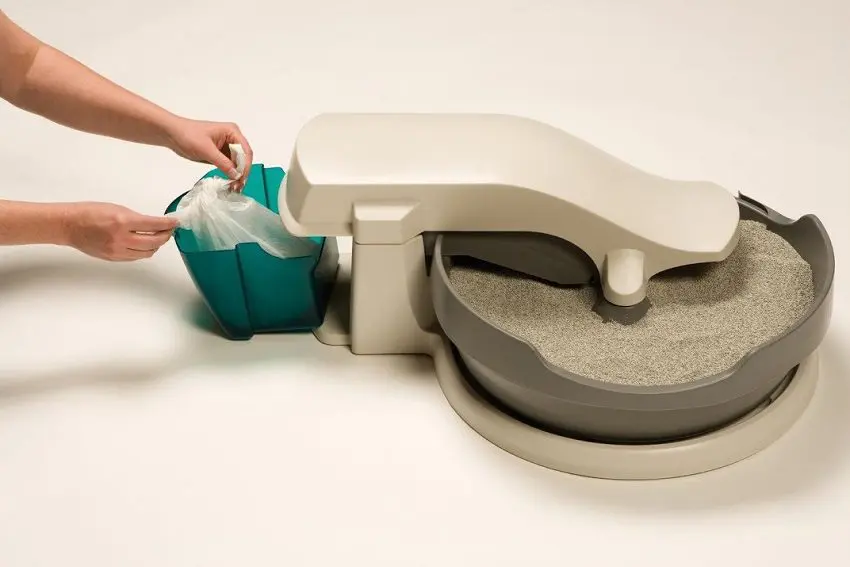 How to Clean a Cat Litter Box Effectively: The Best Ways