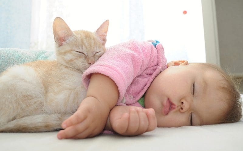 baby and kitten sleeping