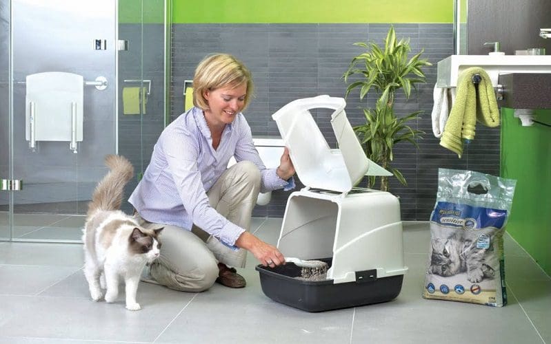 giving cat litter box a wash