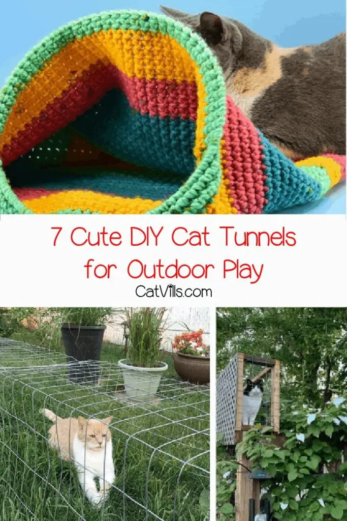 7 Innovative DIY Cat Tunnel Ideas for Happy Cats