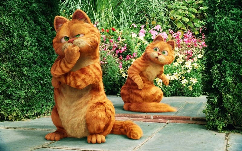 garfield cat from movie