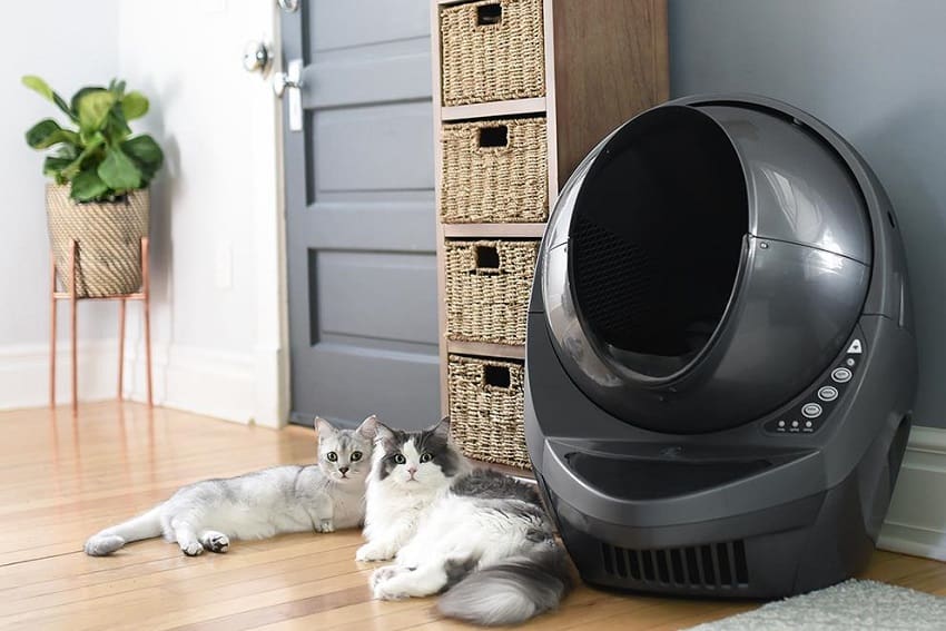 Litter Robot 3 vs 4: Which One Is Better?