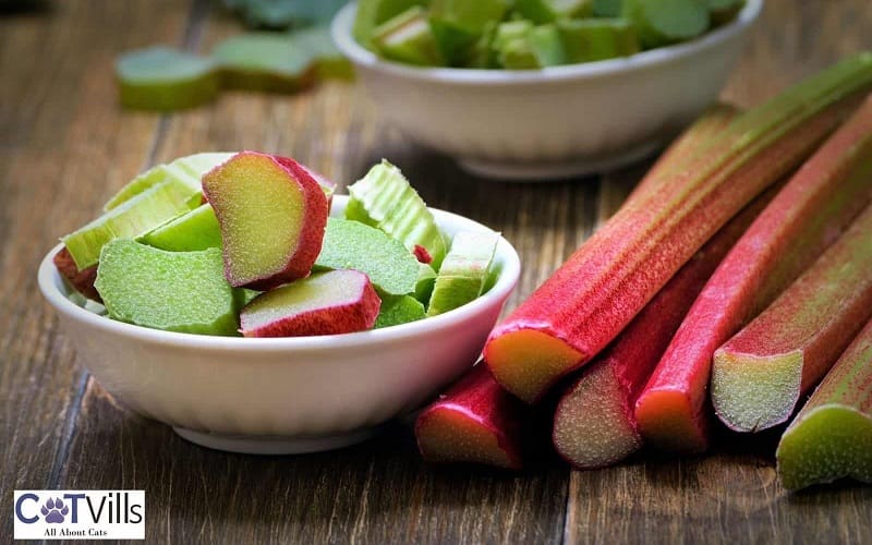 rhubarb on table