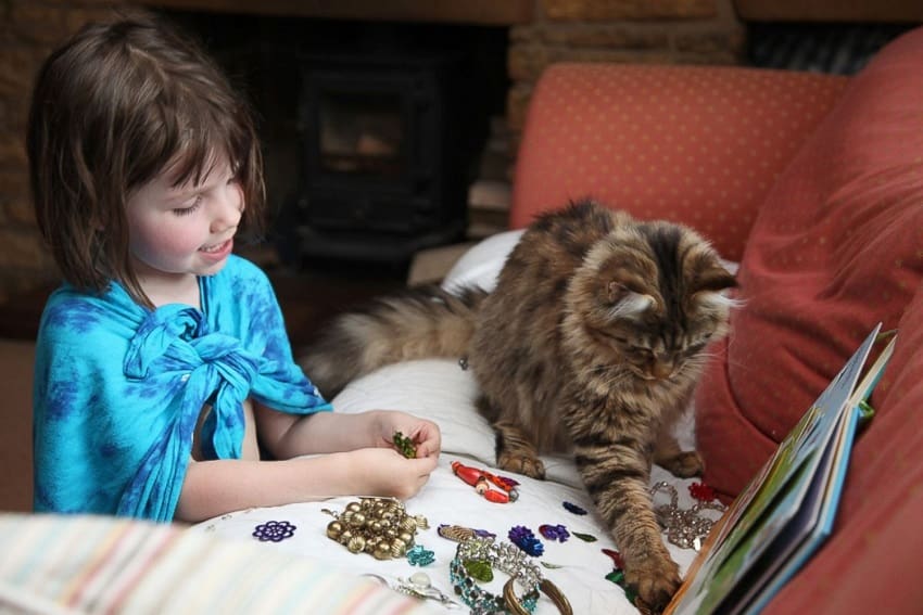 6 Best Cat Breeds for Kids: The Ideal Furry Friend