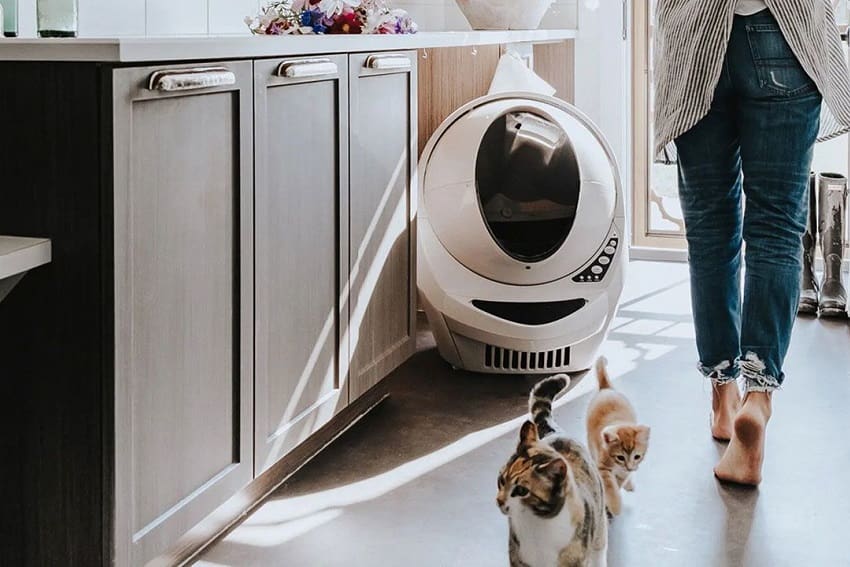 Litter-Robot vs CatGenie vs Petsafe: Which is the Best?