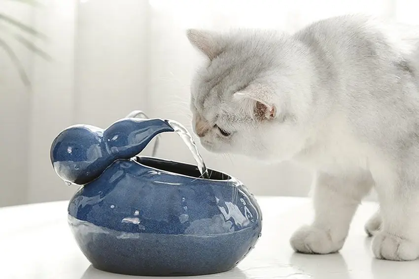 9 Best Ceramic Cat Water Fountains for Hydrated & Happy Cats
