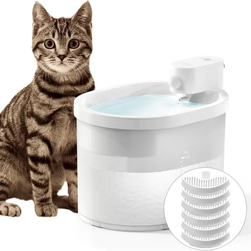 uahpet Cat Water Fountain review