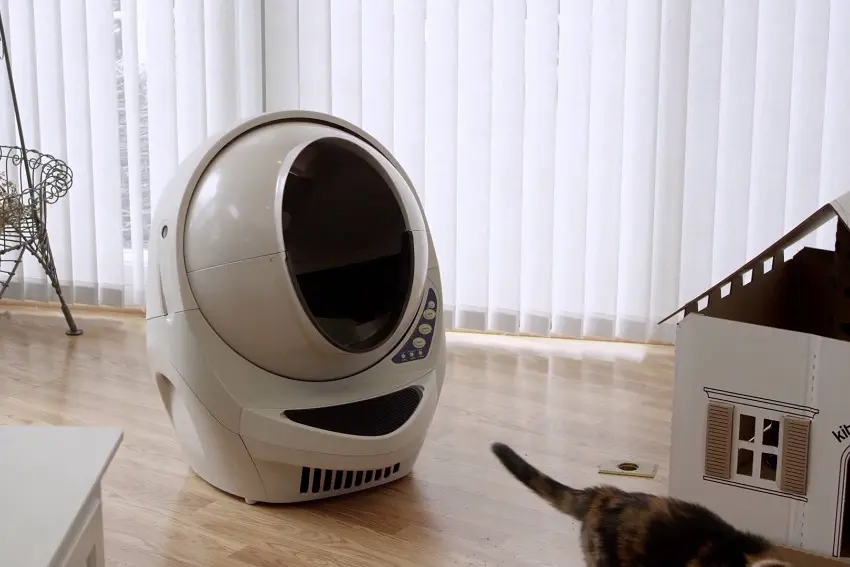 Used Litter-Robot: 7 Ways to Repurpose Your Litter Box