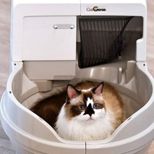 CatGenie self-cleaning cat litter box