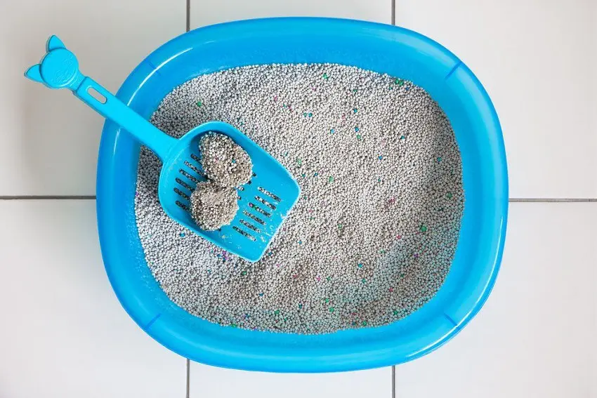 How Much Does Cat Litter Cost? A Complete Guide