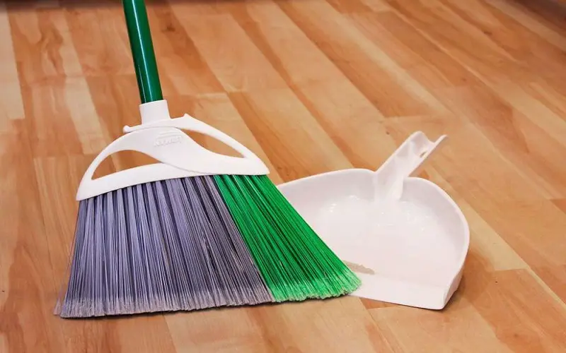 sweeping cat litter