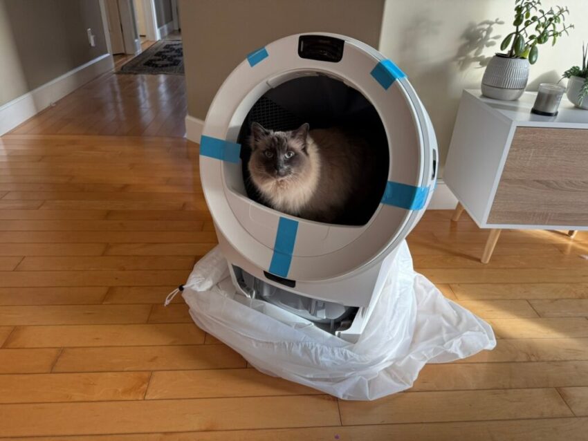 Litter Robot 5 Pro Review 01 1024x768 1