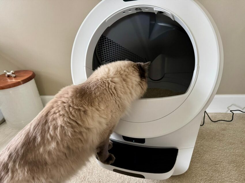 Litter-Robot 4 vs. 5 vs. 5 Pro
