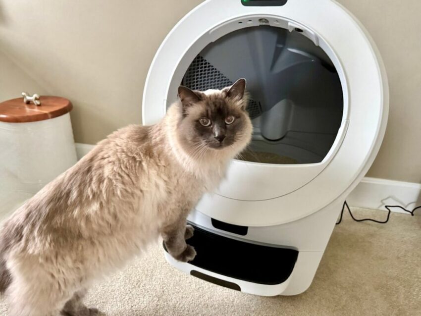 Litter Robot 5 Pro Review 09 1024x768 1