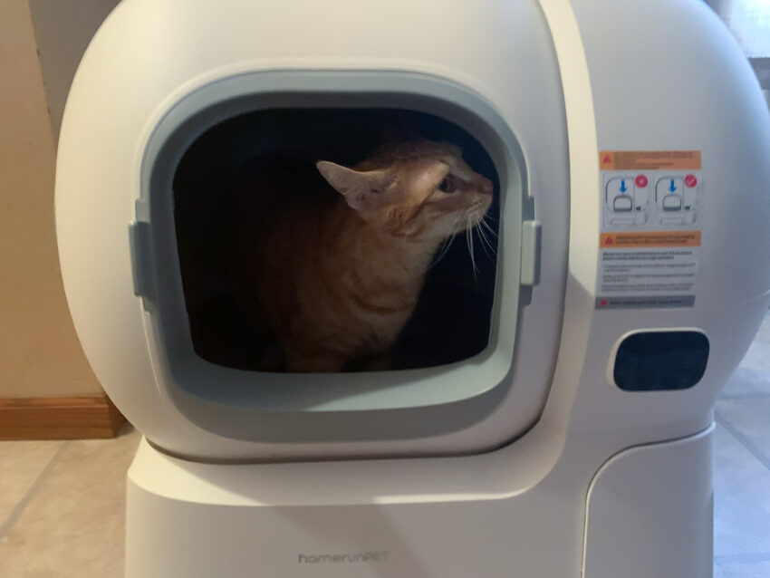 HomerunPet Self cleaning litter box Review 09