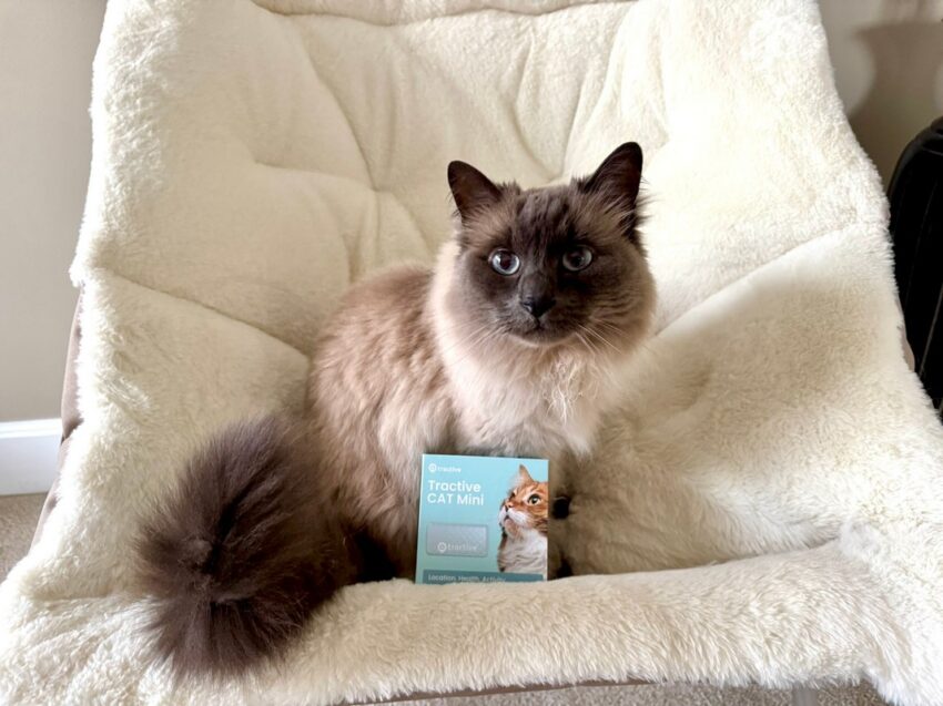 Tractive Cat Mini review