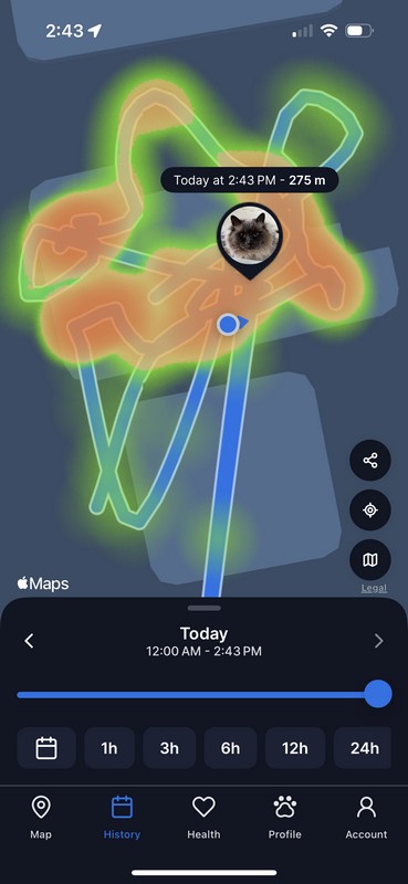 Tractive CAT Mini GPS tracking